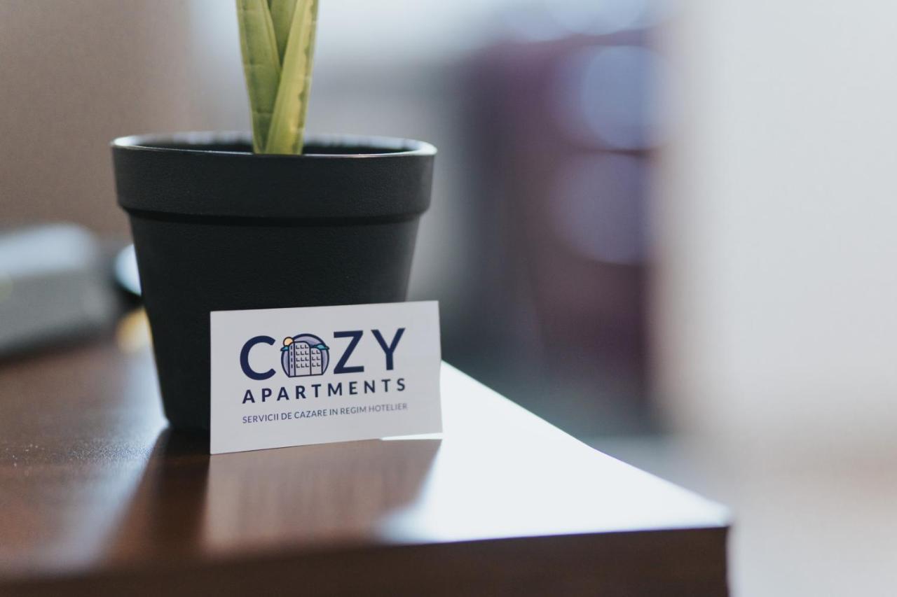 Cozy Accommodation Central City - Яссы Экстерьер фото